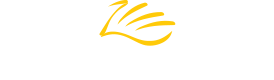 Dan Gilbert Art Group Logo
